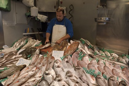 Spain, Andalusia, Malaga,  Mercado Central de Atarazanas, the fish market in the central market