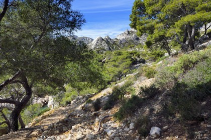 France, Bouches du Rhone, Marseille, National Park of the Calanques, Calanque de Sormiou, Calanque de Sormiou (cove)