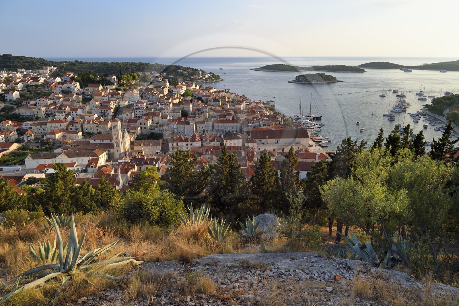 Croatie, Dalmatie, cote dalmate, Ile de Hvar, la ville de Hvar