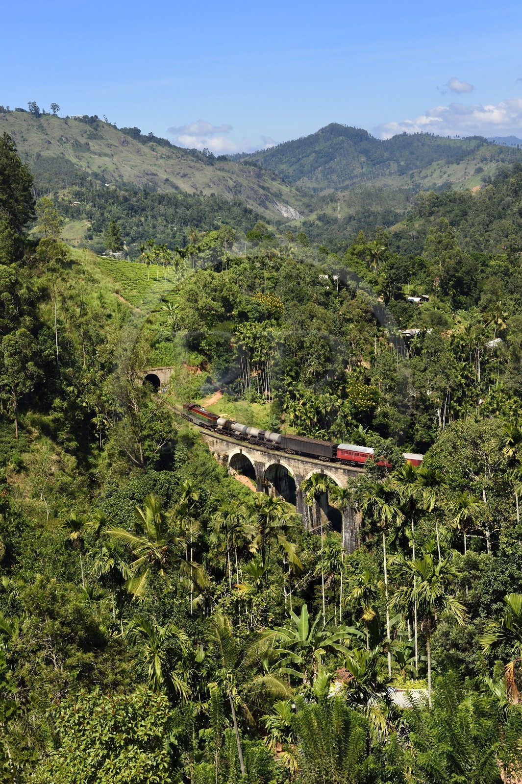 Sri Lanka, Province d'Uva, train sur la voie de chemin de fer dans la région montagneuse de la culture du thé entre Badulla et Ella, le Pont aux Neuf Arches (1921) non loin de Ella