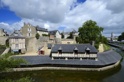 France, Morbihan, Gulf of Morbihan (Golfe du Morbihan), Vannes, the wash-house on the banks of the Sene river and the Saint Patern church in the background
