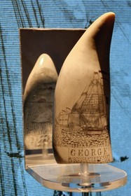 France, Var (83), Saint-Tropez, citadelle du XVIe siècle, musée d'Histoire maritime tropézienne, dent de cachalot gravée par un matelot du baleinier Georges