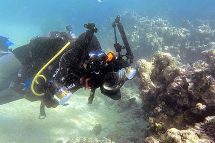 Sultanat d'Oman, gouvernorat de Mascate, réserve naturelle des Iles Daymaniyat, la photographe-plongeuse Maisa Al Hooti dans le récif corallien