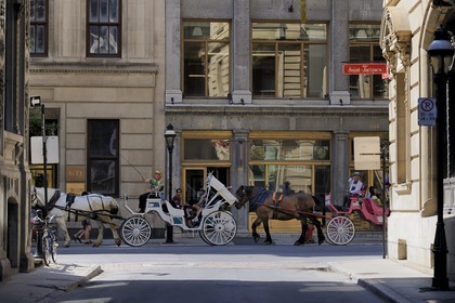 Canada, province de Québec, Montréal, calèche dans le quartier du Vieux-Montréal