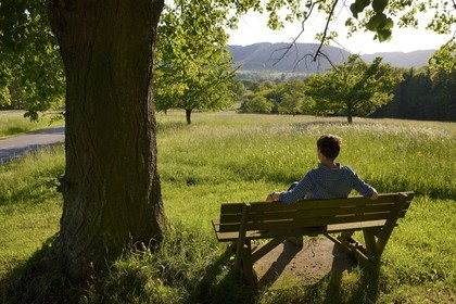 France, Bas Rhin, Hengwiller, rural landscape
