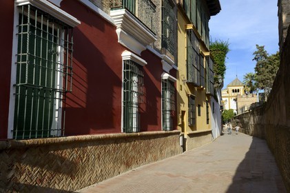 Espagne, Andalousie, Séville, calle Agua ou ruelle de l'eau est le cœur géographique du quartier Santa Cruz et fut baptisée ainsi car elle longeait un aqueduc encore en usage qui assurait l'alimentation en eau de l'Alcazar