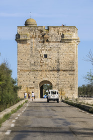 France, Gard, Aigues-Mortes, Saint-Laurent-d'Aigouze, the Carbonnière Tower in the Petite Camargue