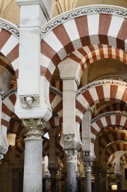 Spain, Andalusia, Cordoba, historical center listed as World Heritage by UNESCO, Mezquita, the Mosque cathedral, the forest of arches and colonnades illustrates the monumentality of the Umayyad Art of Cordoba