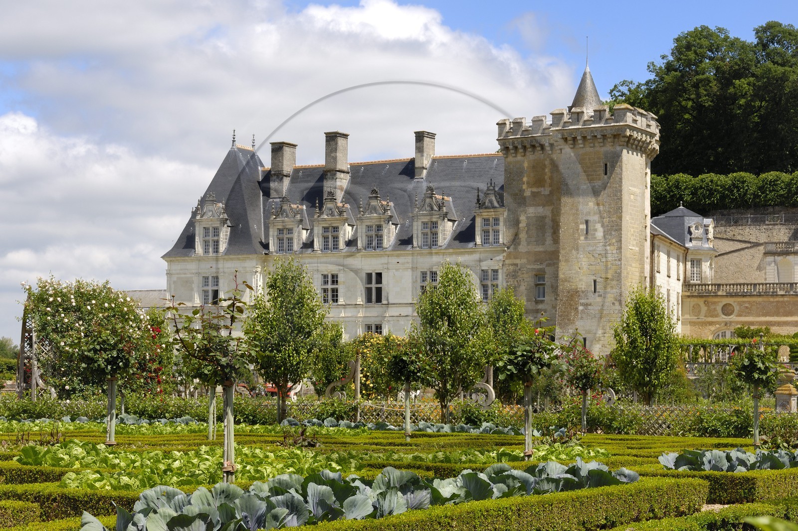 France, Indre-et-Loire (37), Vallée de la Loire classée patrimoine mondial de l'UNESCO, Villandry, le château de Villandry et ses jardins, propriété d'Henri et Angélique Carvallo