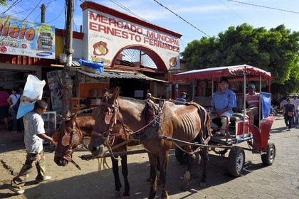 Nicaragua, Masaya, horse carriage taxi in front of the Mercado Municipal Ernesto Fernandez market