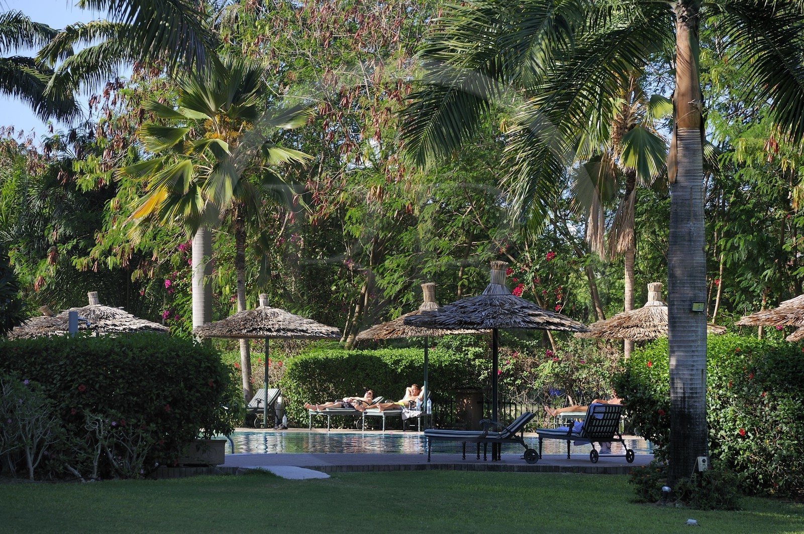 Tanzanie, Dar es-Salaam, l'hôtel Mövenpick, la piscine