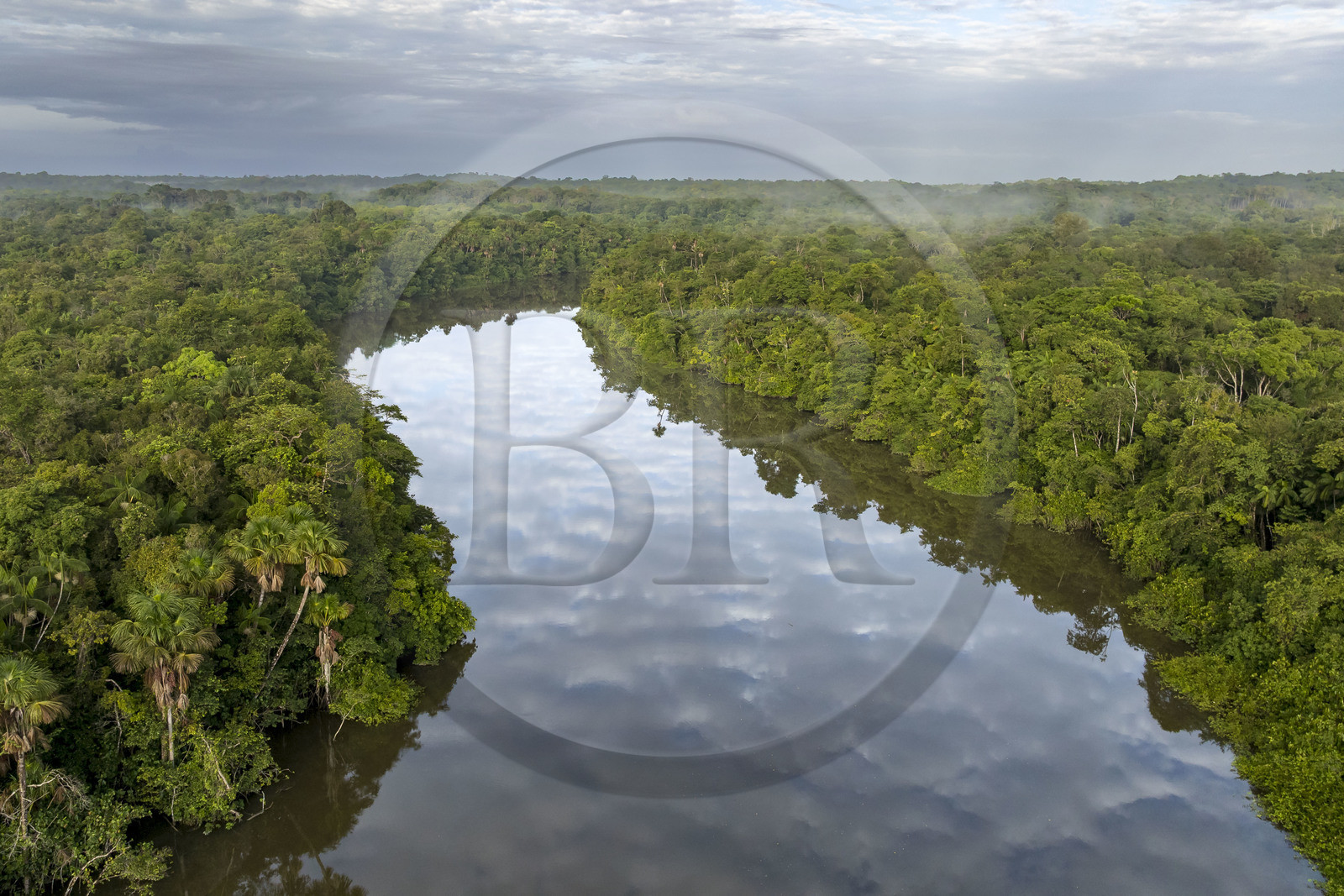 France, Guyane, Kourou, Camp Maripas, le fleuve Kourou traversant la forêt tropicale (vue aérienne)