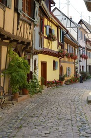 France, Haut-Rhin (68), Eguisheim, labellisé Les Plus Beaux Villages de France, maisons traditionnelles à pans de bois dans la rue du Rempart Sud