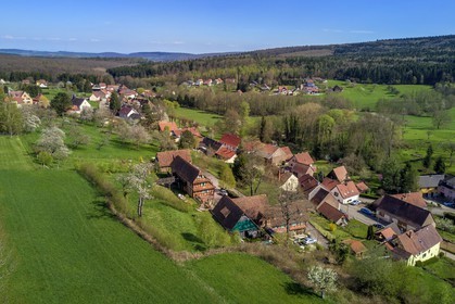 France, Bas Rhin, Birkenwald