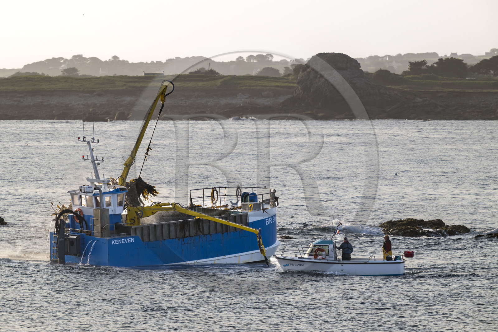 France, Finistère (29), Pays des Abers, Ile Vierge dans l'archipel de Lilia, bateau goémonier utilisant un de ses deux bras mécaniques articulés se terminant par un scoubidou pour récolter des algues marines le goémon