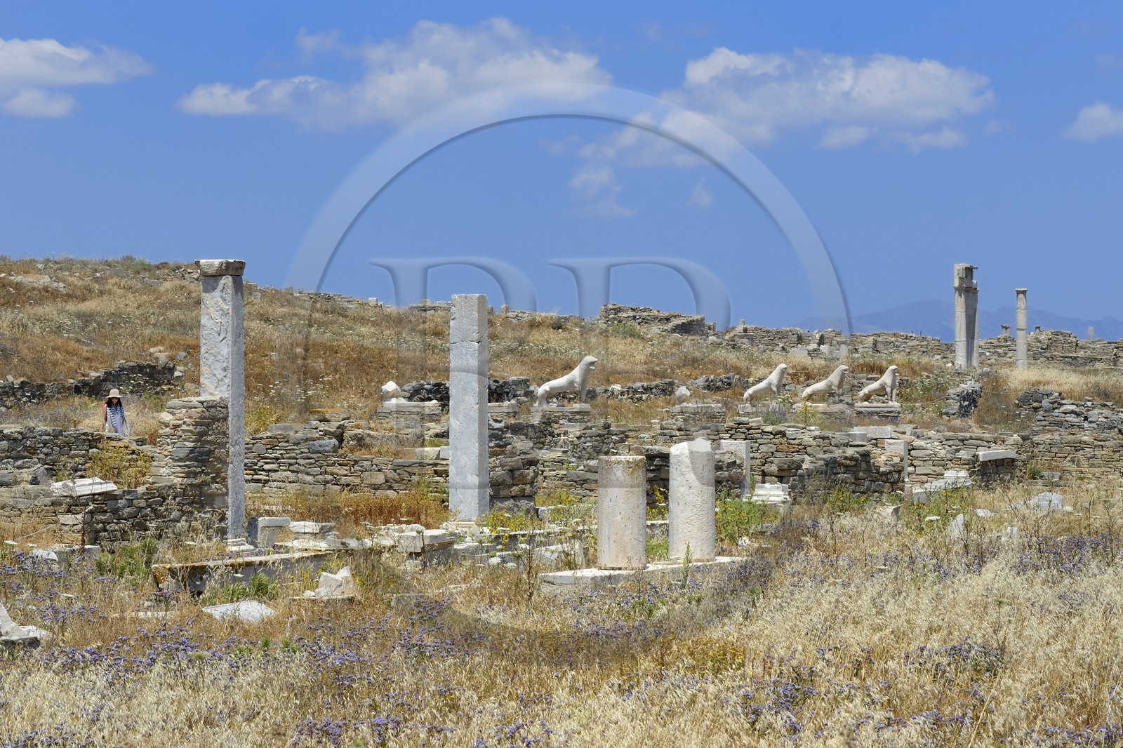 Grèce, île de Delos, classée Patrimoine Mondial de l'UNESCO, site archéologique de Délos, sanctuaire d'Apollon, la plus grande cité antique de la mer Egée, la Terrasse des Lions