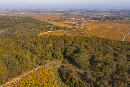 France, Cote d'Or, cultural Landscape of the climates of Burgundy listed as World Heritage by UNESCO, Vougeot, Route des Grands Crus (road of Vintage Wines), view from the hills of the Chateau du Clos de Vougeot surrounded by vineyards in the Climats terroirs of Burgundy
