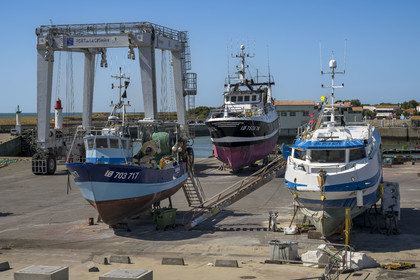France, Charente-Maritime (17), Ile d'Oléron, port de La Cotinière, bassin à flots aménagé en 2022 au pied de la nouvelle criée