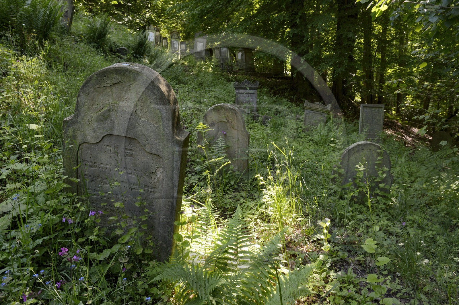 France, Bas-Rhin (67), Saverne, ancien cimetière juif