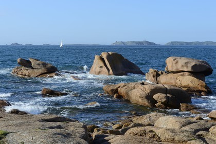 France, Côtes-d'Armor (22), Côte de Granit Rose, Perros-Guirec, Ploumanac'h, Ile Renote, l'archipel et réserve ornithologique de Sept-Iles en arrière plan France, Cotes-d'Armor, Cote de Granit Rose (the Pink Granite coast), Perros Guirec, Ploumanach, Renote island, the Sept-Iles Archipelago and bird sanctuary in the background