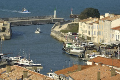 France, Charente-Maritime (17), ile de Ré, port de Saint-Martin-de-Ré