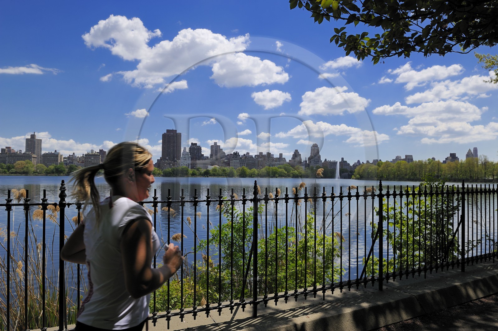Etats-Unis, New York, Manhattan, Central Park, footing autour du Réservoir entouré de buildings