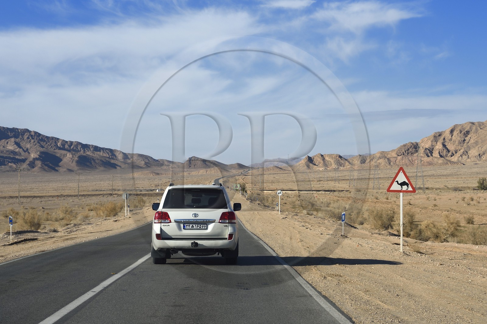 Iran, Province d'Ispahan, désert du Dasht-e Kavir, Toyota Land Cruiser 4x4 sur la route 62 de Nain à Khur, panneau indicateur de traversée de Chameau, les dromadaires sont responsables de nombreux accidents notamment de nuit sur les routes