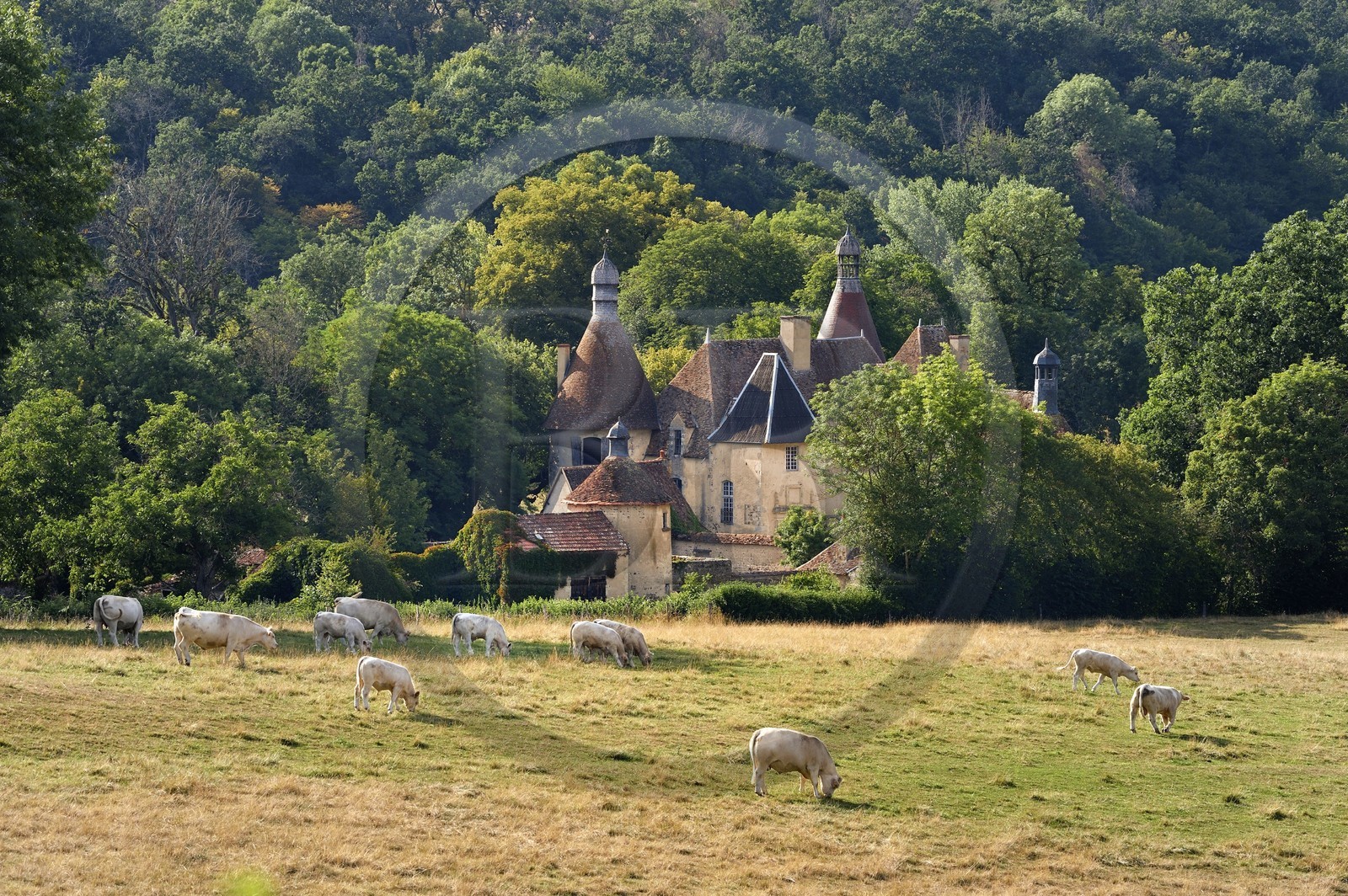 France, Allier (03), ancienne province du Bourbonnais, Besson, chateau du Vieux Bostz appartenant aux descendants des Bourbon-Parme France, Allier (03), ancienne province du Bourbonnais, Besson, chateau du Vieux Bostz appartenant aux descendants des Bourbon-Parme