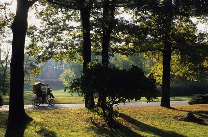 France, Paris (75), Parc Floral de Paris (Vincennes), voitures à pédale
