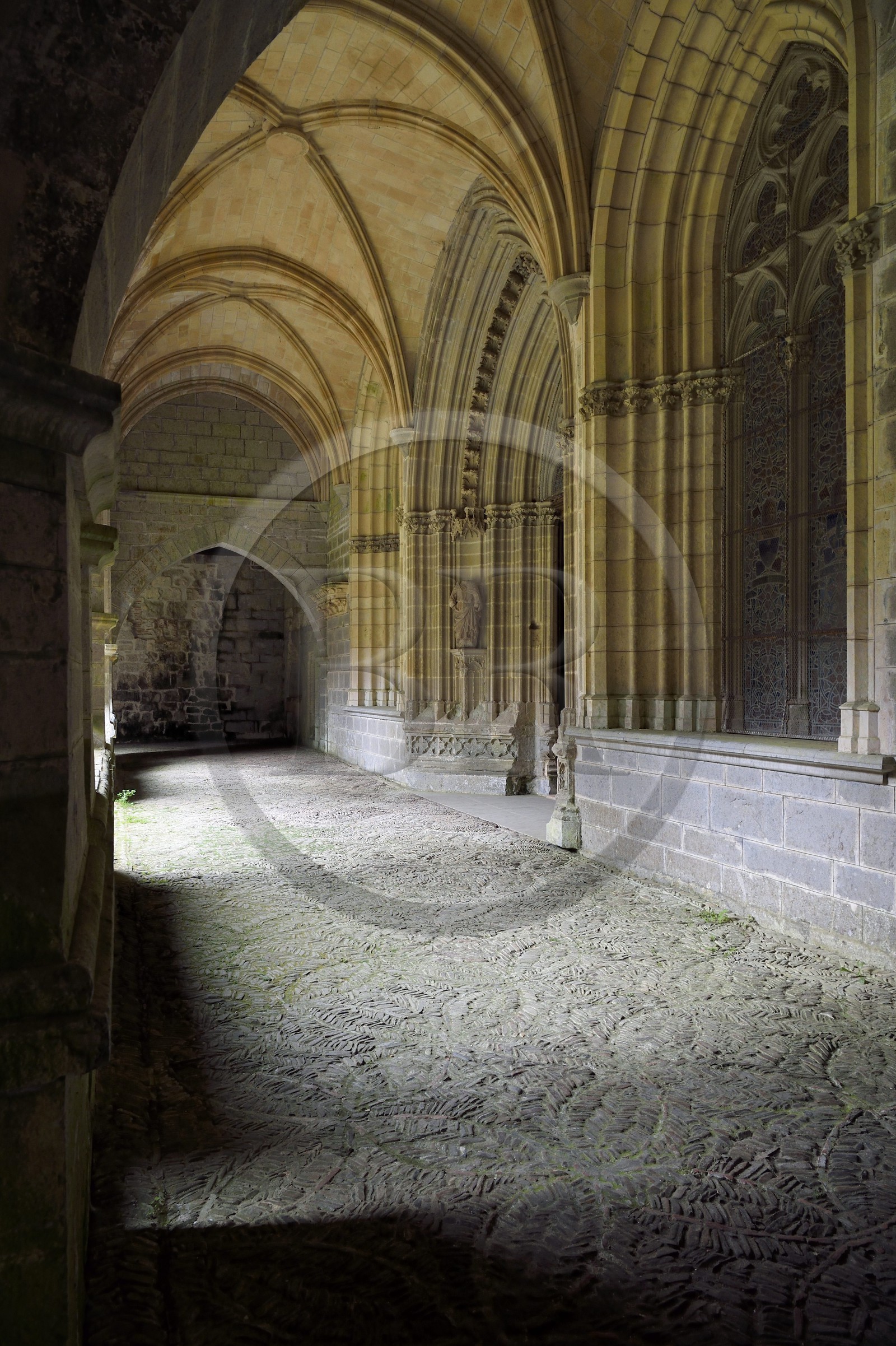 Espagne, Pays-Basque, Navarre, Roncevaux, étape du chemin de Saint-Jacques de Compostelle, Collégiale royale de Roncevaux, cloitre de l'église de Santa María la Real