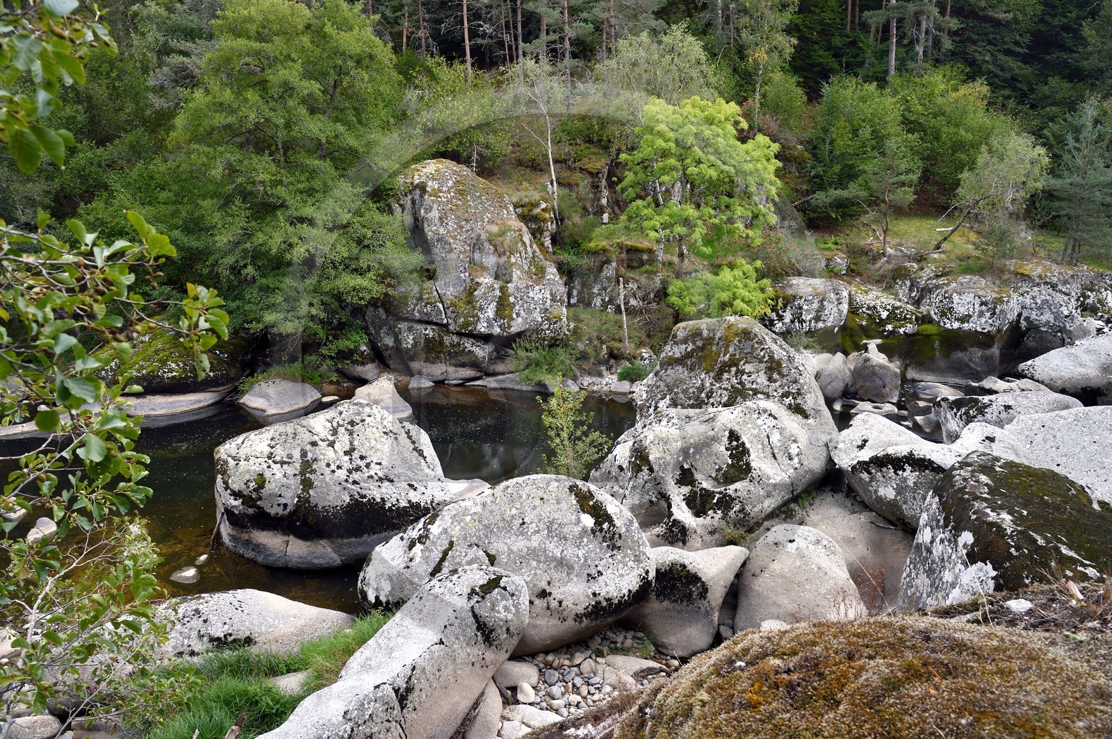France, Lozère (48), Parc naturel régional de l'Aubrac, Saint-Juéry, les gorges de la rivière Bès
