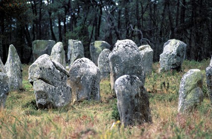 France, Morbihan (56), les mégalithes de Carnac (alignements de menhirs)