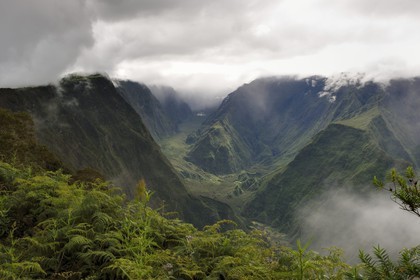 France, Ile de la Reunion, Le Tampon, la Riviere des Remparts sur les pentes du volcan du Piton de la Fournaise