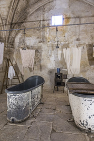 France, Bouches du Rhone, Regional Natural Park of the Alpilles, Saint Remy de Provence, Saint-Paul-de-Mausole monastery, the historic psychiatric asylum the Maison de santé Saint-Paul where Van Gogh was interned in 1889-1890