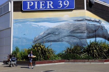 Etats-Unis, Californie, San Francisco, le très touristique Pier 39 sur le Fisherman's wharf