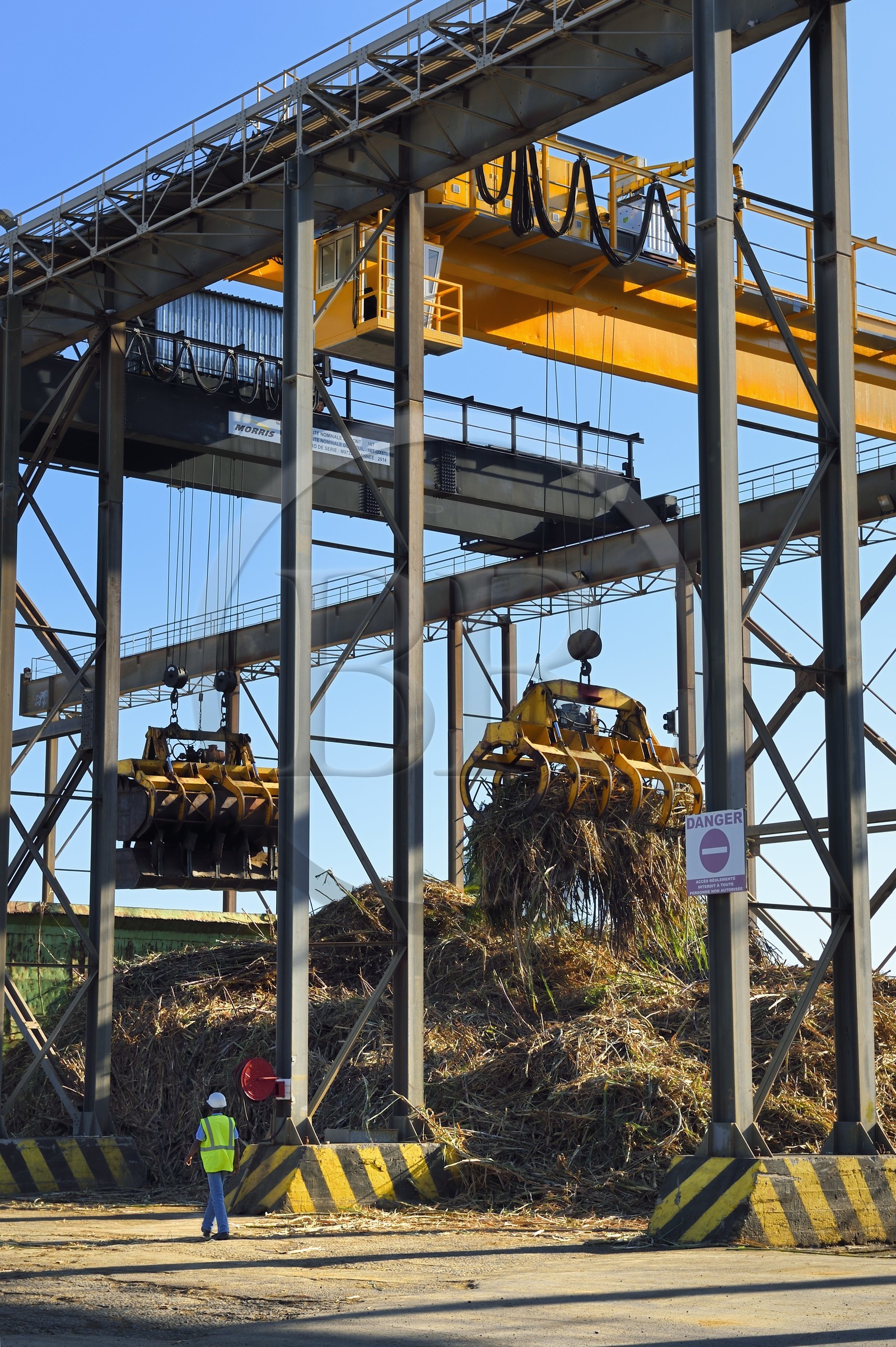 France, Ile de la Reunion, Saint-Pierre, Grands Bois, un des 11 centres de réception et de collecte de la canne à sucre aussi appelés Balance, les tracteurs amènent depuis les champs la canne dans des remorques, elle est ensuite pesée et chargée dans de grand camions appelés cachalots pour être acheminée vers l'usine sucrière du Gol France, Ile de la Reunion, Saint-Pierre, Grands Bois, un des 11 centres de réception et de collecte de la canne à sucre aussi appelés Balance, les tracteurs amènent depuis les champs la canne dans des remorques, elle est ensuite pesée et chargée dans de grand camions appelés cachalots pour être acheminée vers l'usine sucrière du Gol