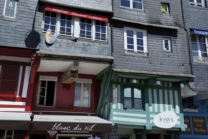 France, Calvados, Honfleur, old houses from Sainte Catherine quay on the Vieux-Bassin (Old Basin)