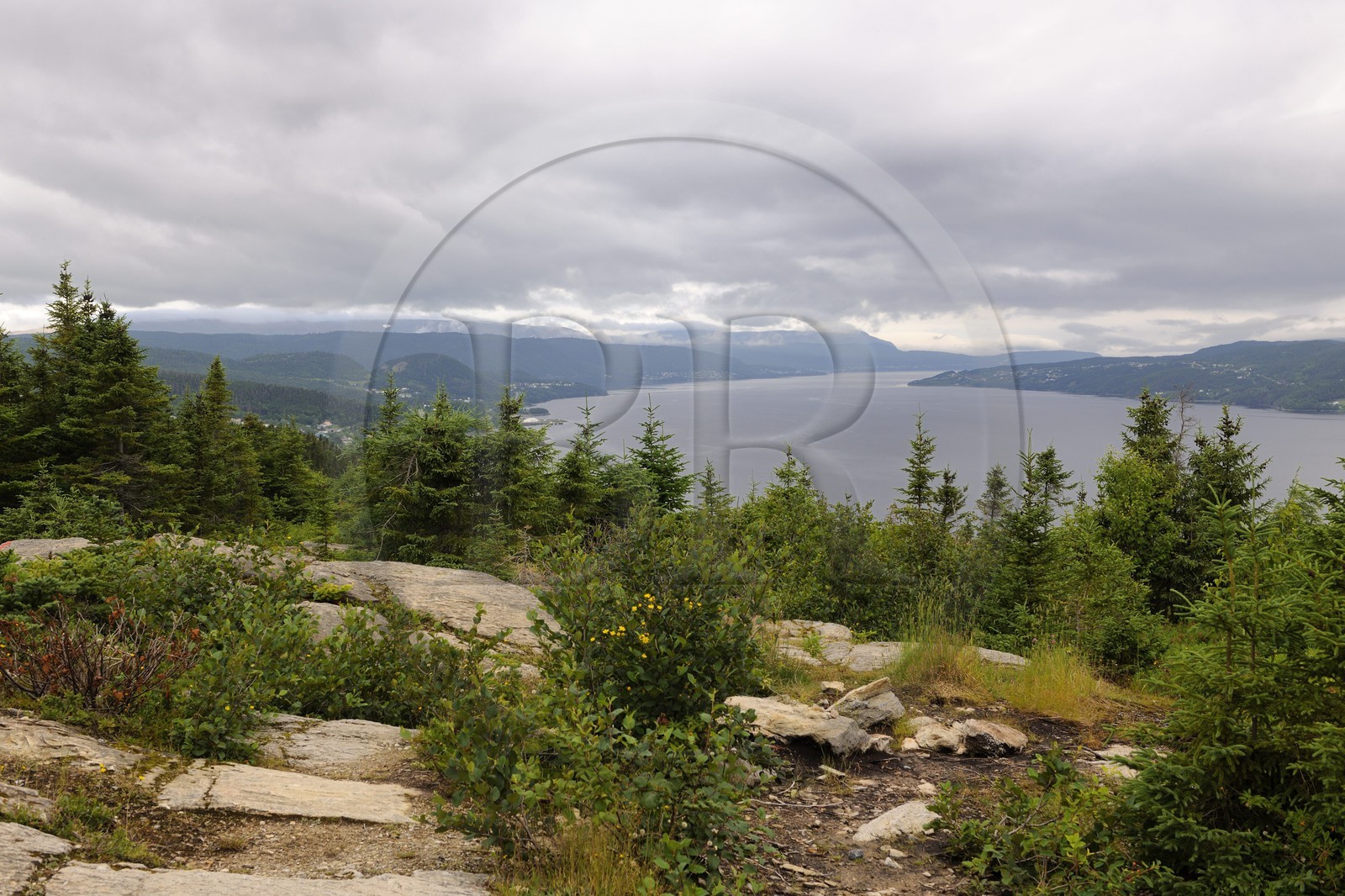 Canada, province de Terre-Neuve et Labrador, Ile de Terre-Neuve, embouchure de la rivière Humber à Corner Brook