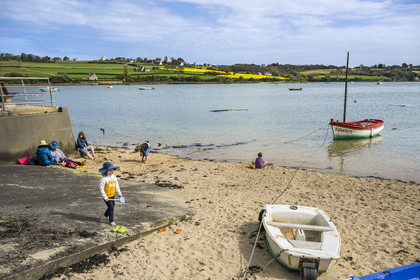 France, Côtes-d'Armor, La Roche Jaune at Plouguiel, the banks of the mouth of the Jaudy river