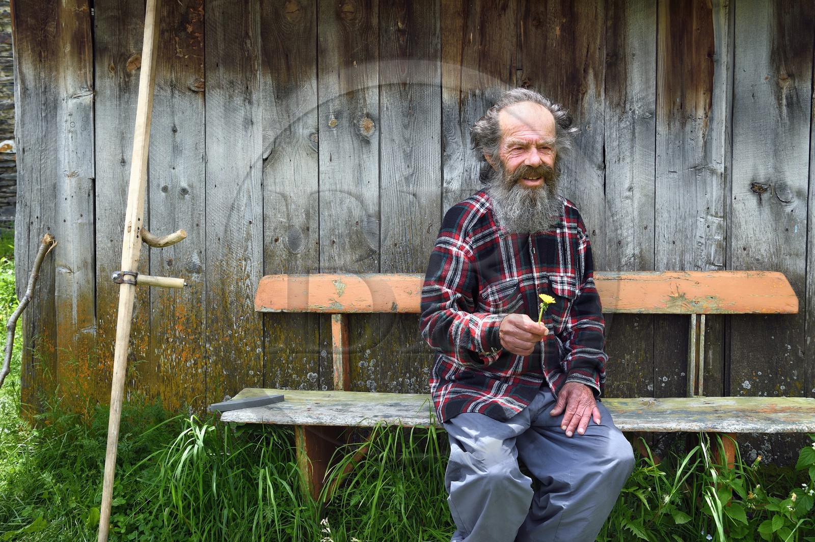 Géorgie, Haute Svanétie (Zemo Svaneti), village de Ushguli (Ouchgouli), classé Patrimoine Mondial de l'UNESCO, le poète et artiste peintre Sridon Nijardzé