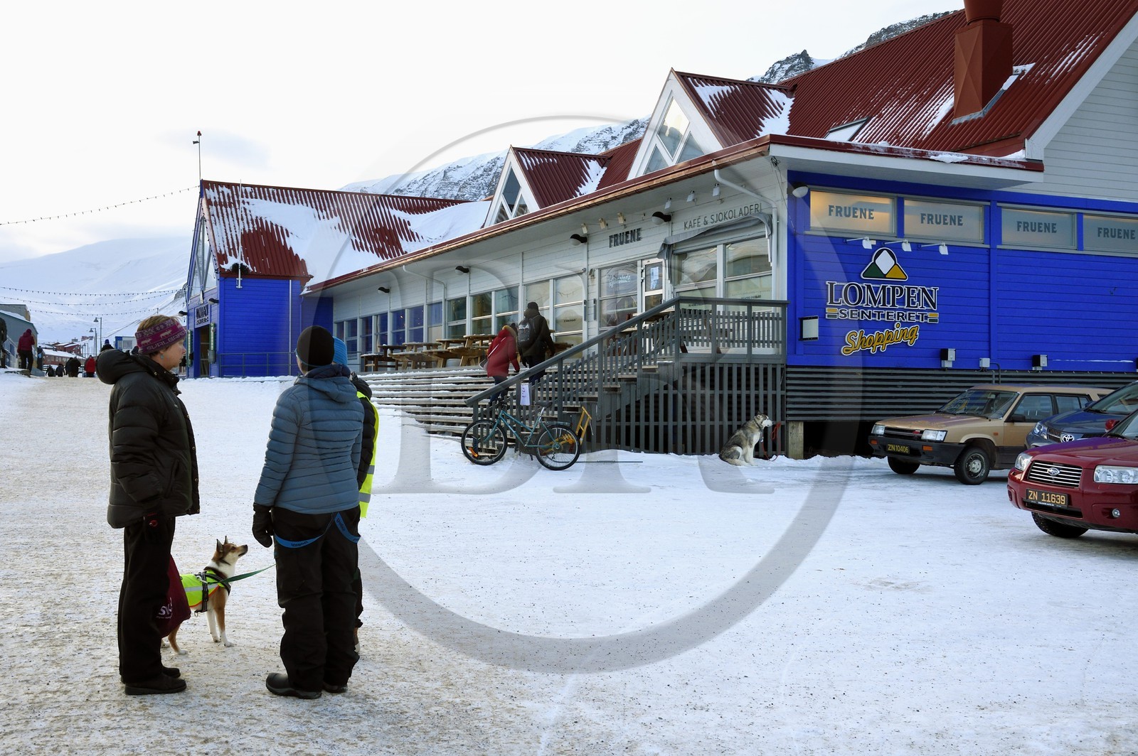 Norvège, Svalbard, Spitzberg, Longyearbyen, chien devant le centre commercial Lompensentret dans la rue principale Norvège, Svalbard, Spitzberg, Longyearbyen, chien devant le centre commercial Lompensentret dans la rue principale