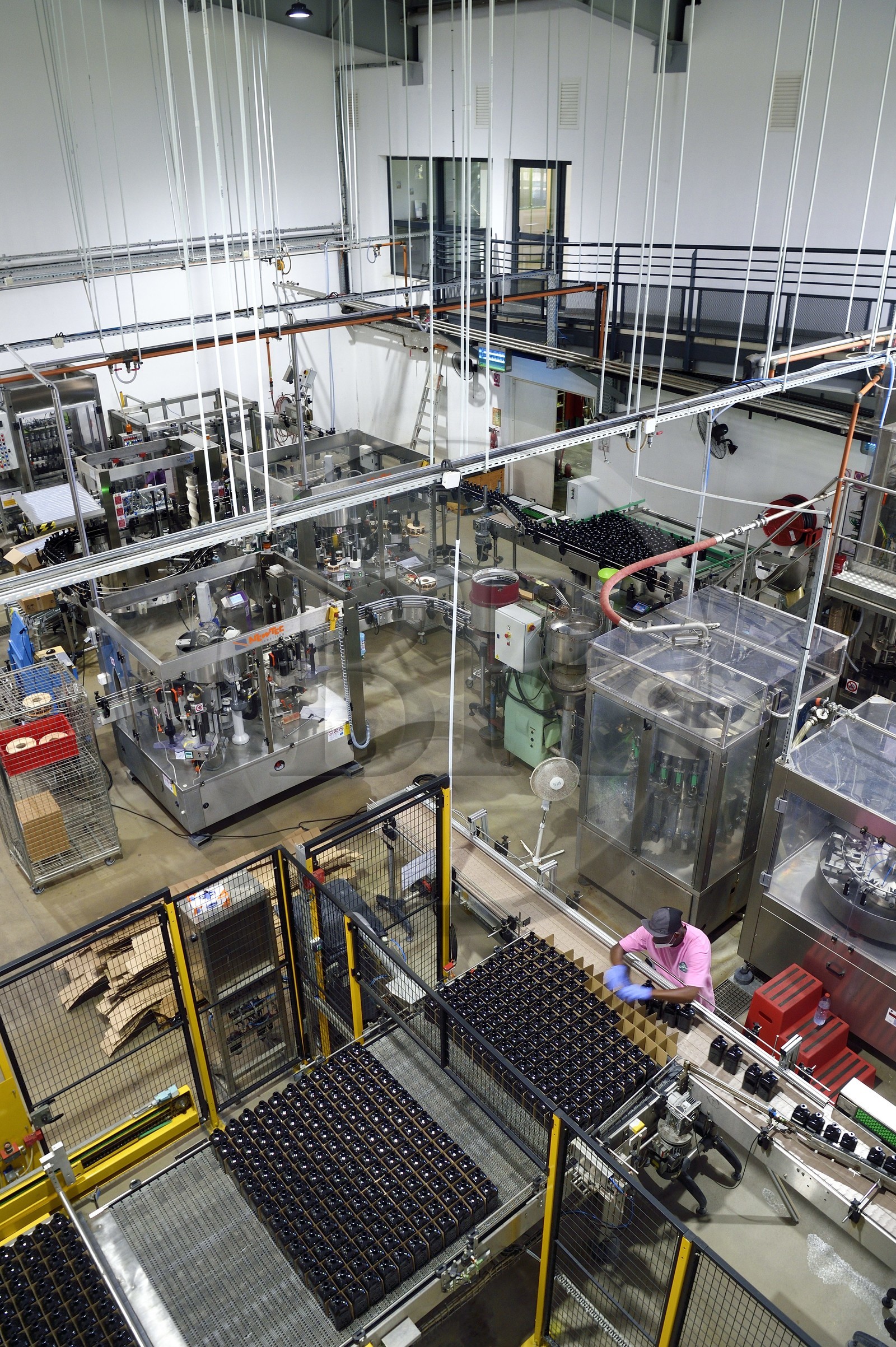 France, Reunion island (French overseas department), Saint Pierre, estate of the Isautier distillery, bottling and labeling plant