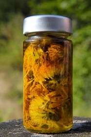 France, Vosges, Le Valtin, village in the upper valley of the Meurthe, home made Arnica oil at the organic store Herbes du Valtin