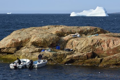 Groenland, cote ouest, baie de Baffin, Upernavik, départ en barque pour la chasse et iceberg en arrière plan