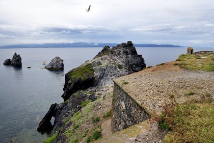 France, Var (83), Iles d'Hyères, parc national de Port Cros, Ile de Porquerolles, la batterie des Mèdes au cap des Mèdes