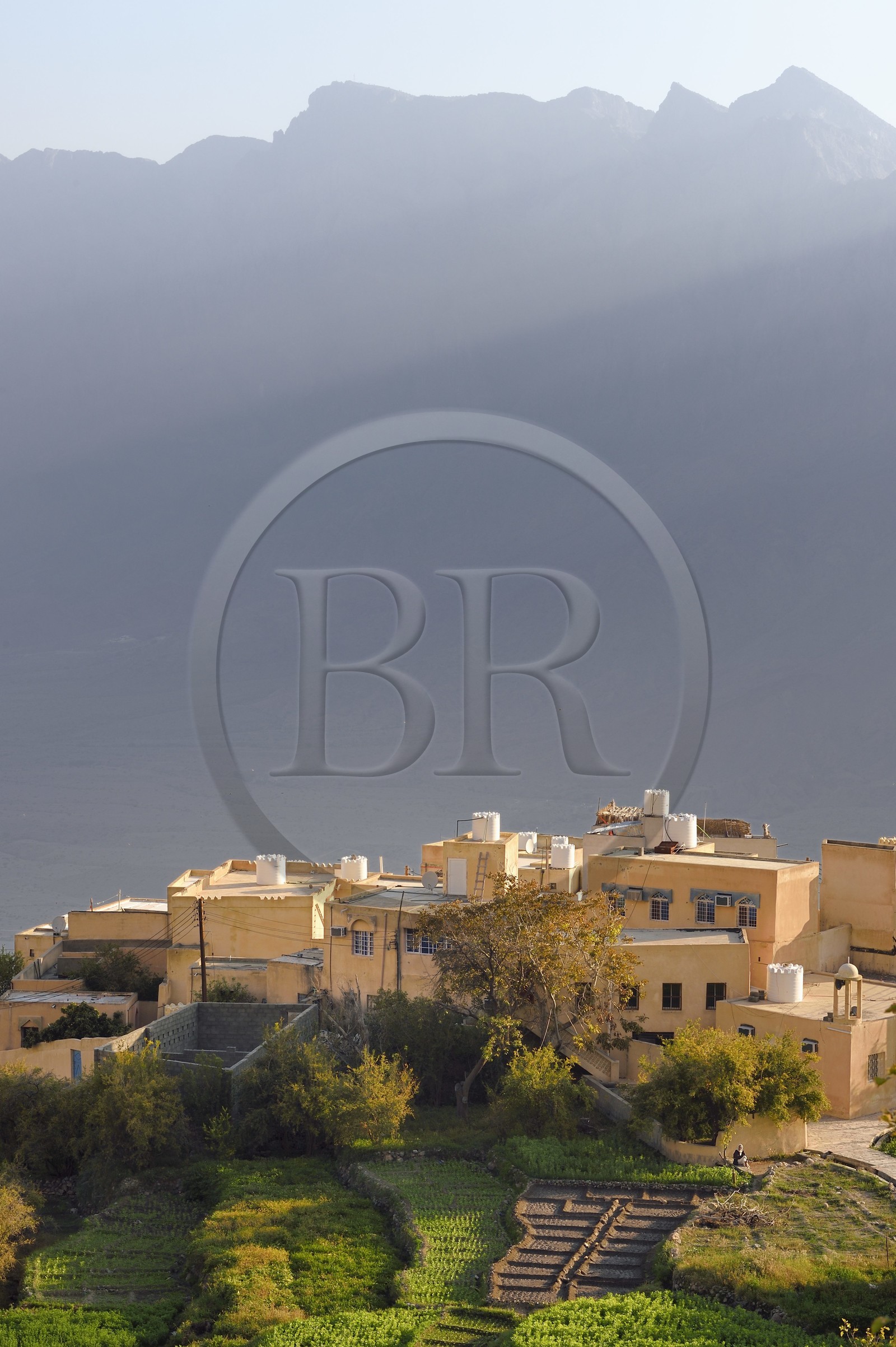 Sultanat d'Oman, Gouvernorat d'Al-Batina du Sud, Hajar occidental, Wadi Mistall, village de Wakan (Wukan) en dessous des cultures en terrasses