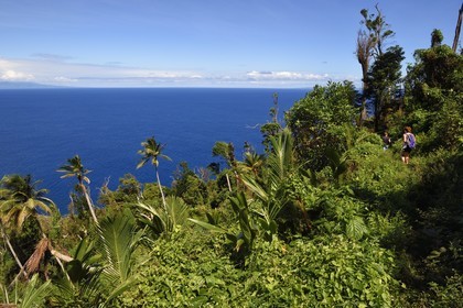 Caraïbes, Ile de la Dominique, randonneurs sur le segment 13 du Waitukubuli National Trail dans le nord de l'île entre Pennville et Capuchin
