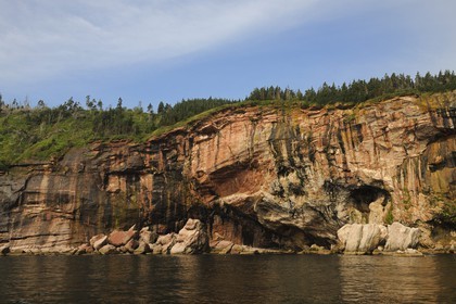 Canada, province de Québec, Gaspésie, île Bonaventure