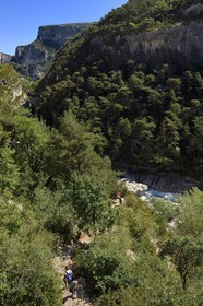 France, Alpes-de-Haute-Provence (04), Parc Naturel Régional du Verdon, les Gorges du Verdon, sentier d'accès au couloir Samson en contrebas du village de Rougon et du Point Sublime