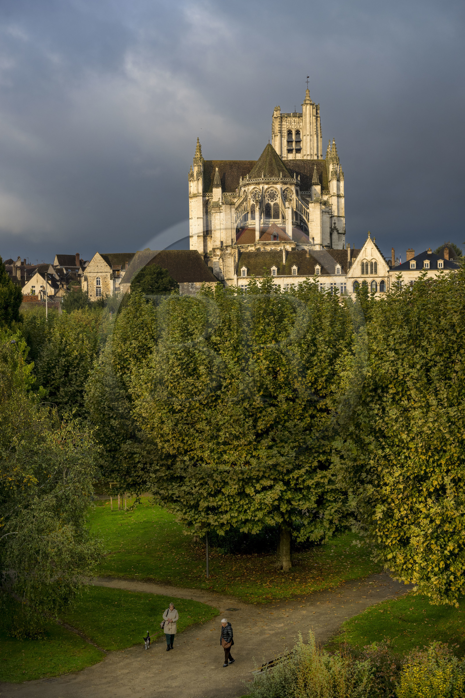 France, Yonne (89), Auxerre, la cathédrale Saint-Etienne et le parc de Roscoff au premier plan